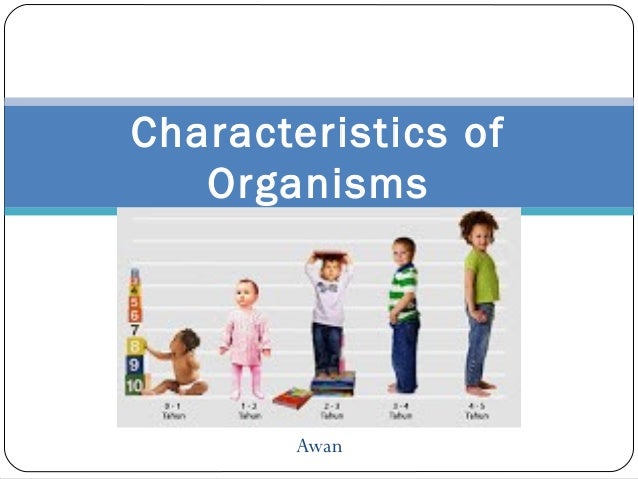 characteristics of living things biology 8 characteristics of all living things